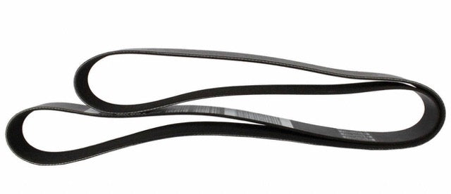 2013 2014 Mustang Serpentine Belt Supercharged