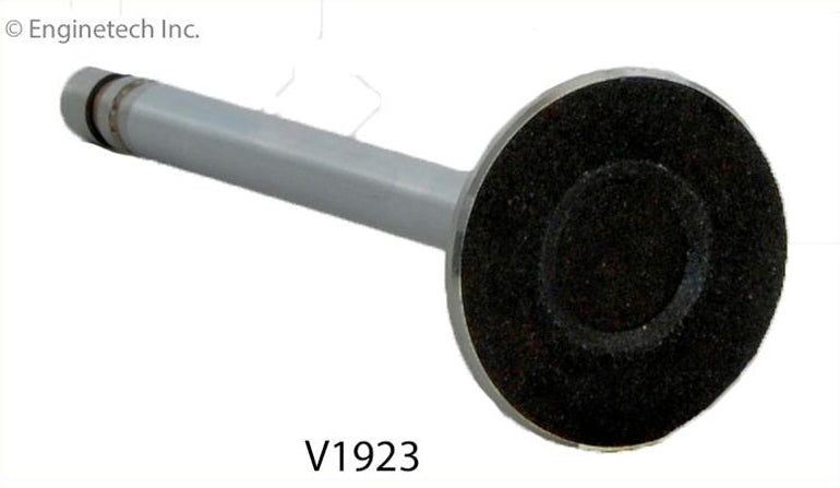 Exhaust Valve V1923