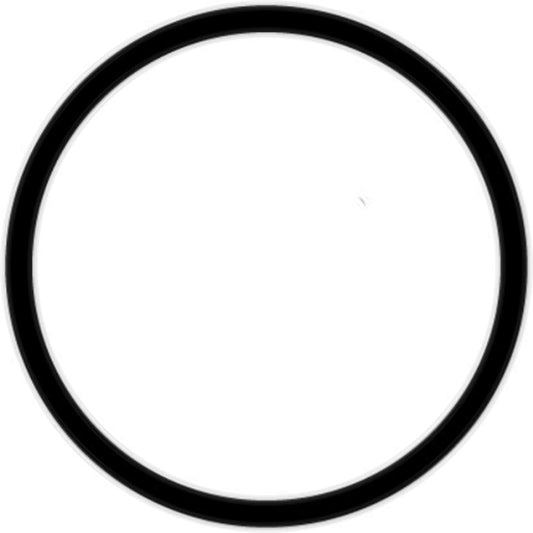 Engine Coolant Thermostat Seal - Ford F-150 F-250 97-12, Mustang 96-12, Lincoln Continental 95-02 25290