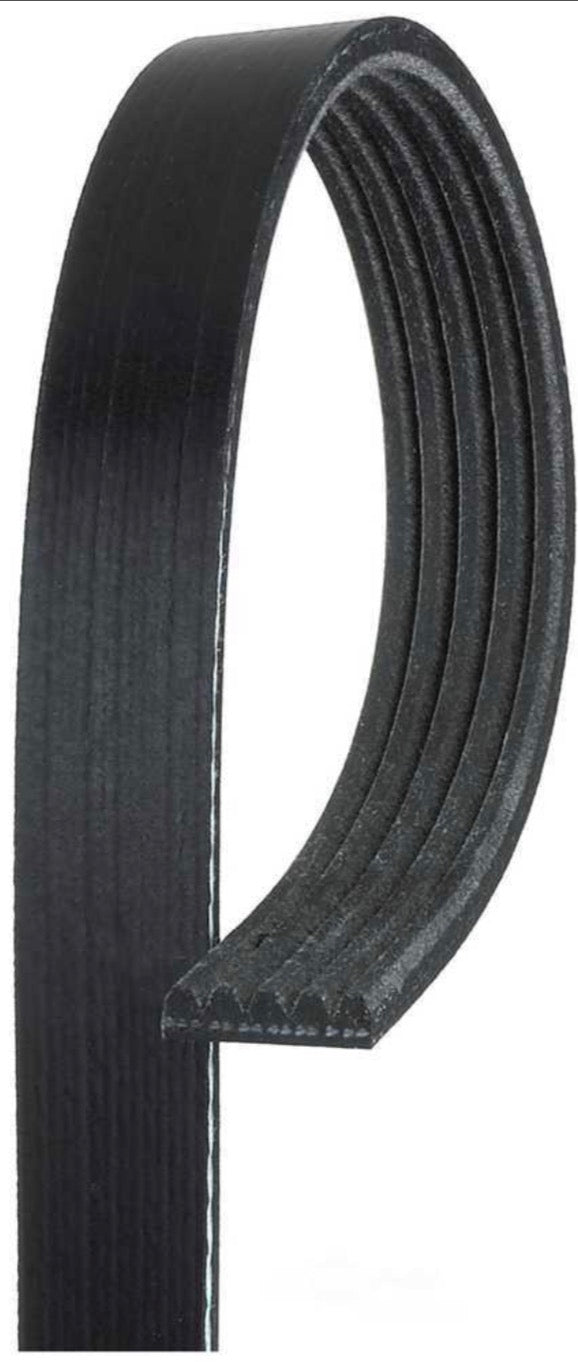 Serpentine Belt Camaro Firebird 85-86 21/32" x 45 5/8" K050450