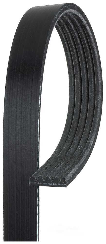 Serpentine Belt Camaro Firebird 85-86 21/32" x 45 5/8" K050450
