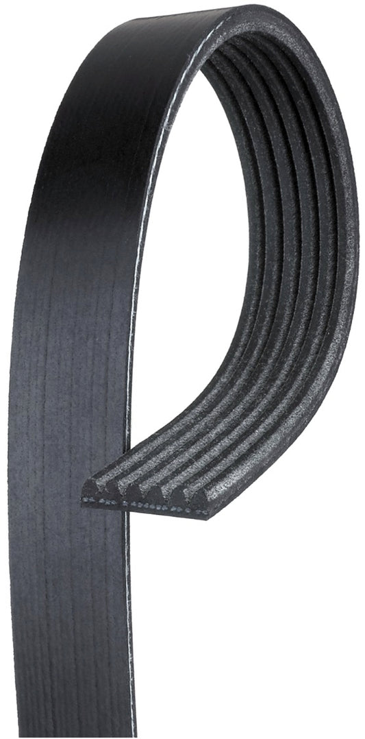 Serpentine Belt Ford 1993-10 Chevrolet 83-00 13/16" x 102 5/8" K061020