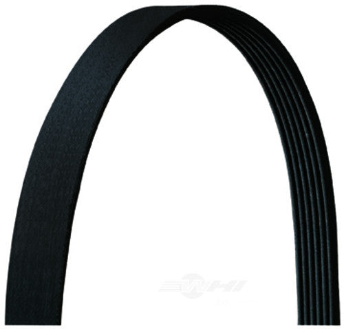 Serpentine Belt - Chevrolet Camaro 90-92, G10 G20 94-96, Ford E-150 E-250 87, GMC C1500 G2500 94-95 5060905DR