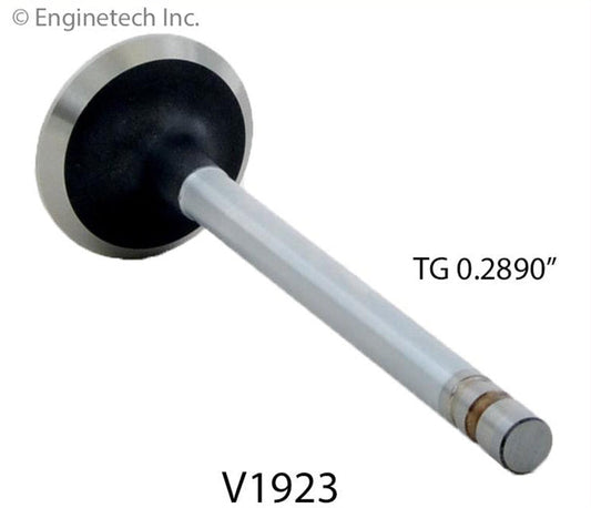 Exhaust Valve 230, 235, 250, 262, 283, 292, 305, 307, 327, 350, 400 V1923