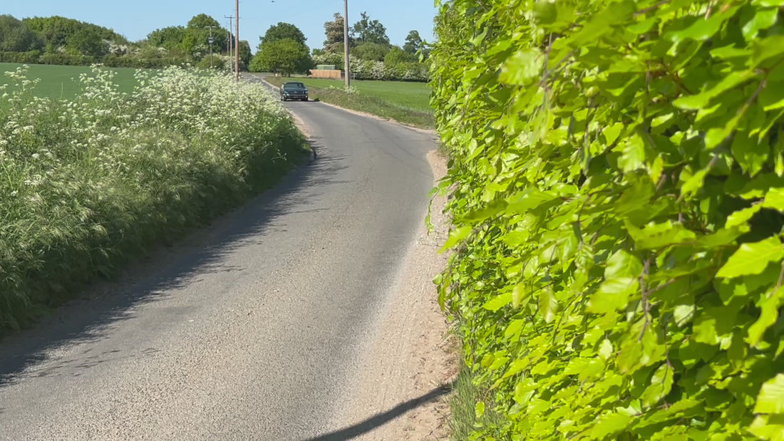 1965 Ford Mustang 5 Speed Manual Conversion
